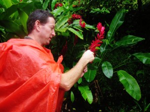 Our guide showing us flowers from the ginger family
